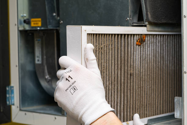 Best Home Air Vent Cleaning  in Lansing, IL