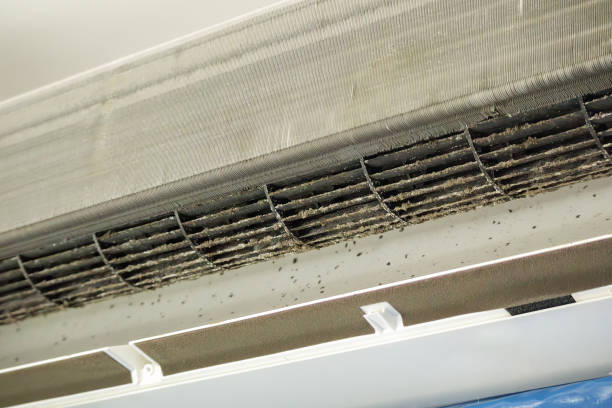 Best Affordable HVAC Duct Cleaning  in Lansing, IL